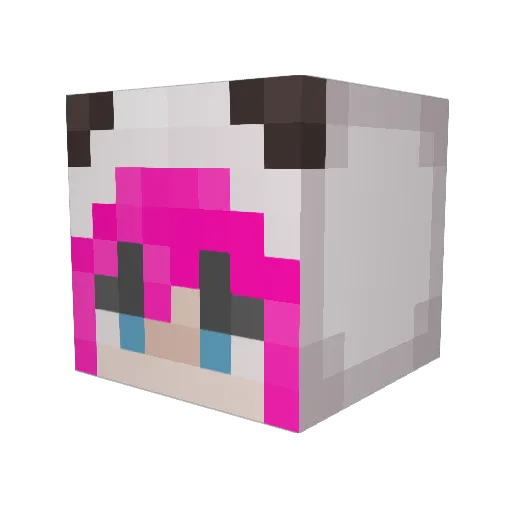 Sanedra Minecraft avatar head, 3D render