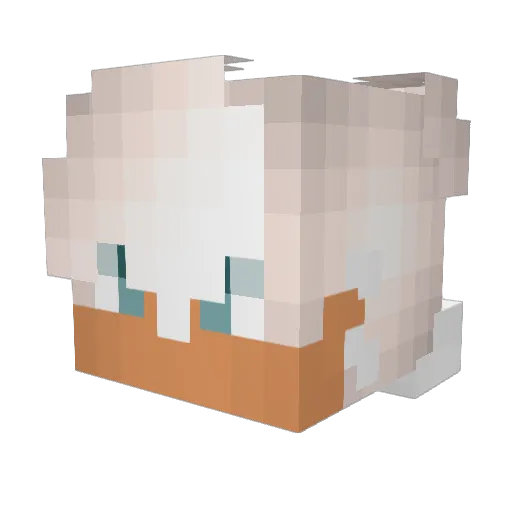 Sanegz Minecraft avatar head, 3D render