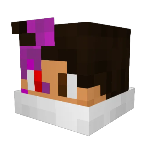 SanekGamesPVP Minecraft avatar head, 3D render