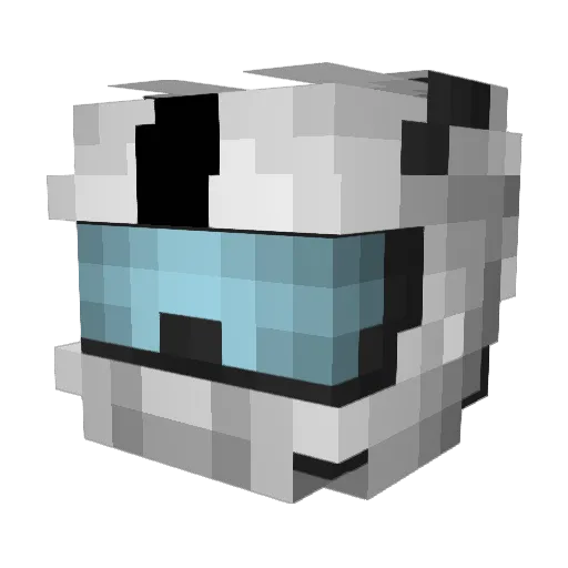 Sanfaloppa Minecraft avatar head, 3D render