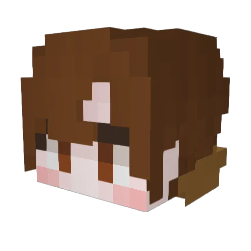 SangOn_ Minecraft avatar head, 3D render