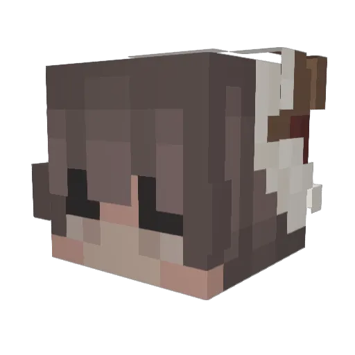 Sangha59 Minecraft avatar head, 3D render