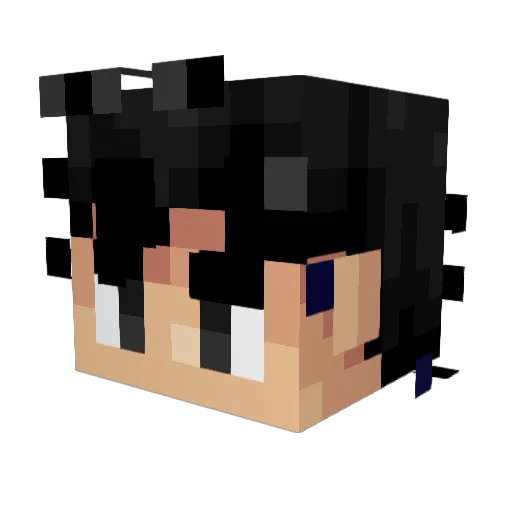 Sangokush Minecraft avatar head, 3D render