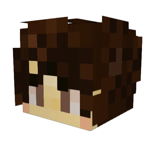 SangucheDeCaca Minecraft avatar head, 3D render