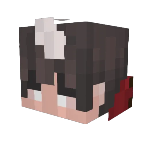 SanguiseDominus Minecraft avatar head, 3D render