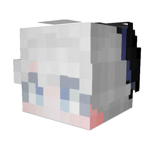Sangwoo2517 Minecraft avatar head, 3D render