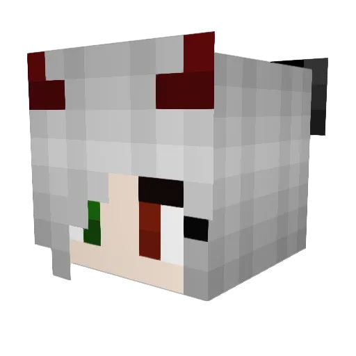 Sani89 Minecraft avatar head, 3D render
