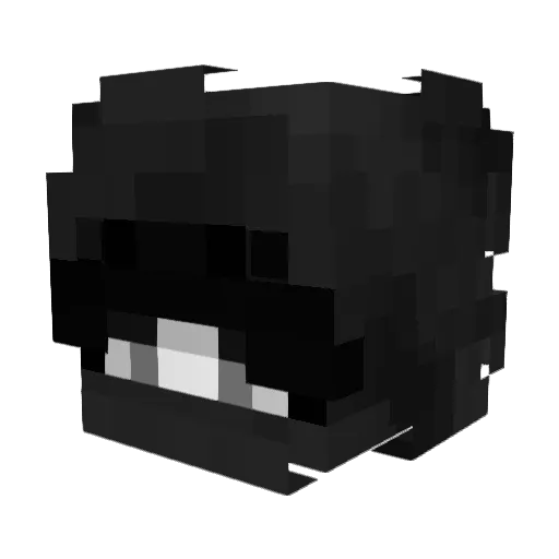 Sanic_1 Minecraft avatar head, 3D render