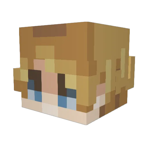 Sanic_Kid Minecraft avatar head, 3D render