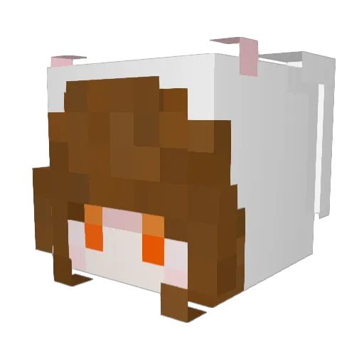 Sanideus Minecraft avatar head, 3D render