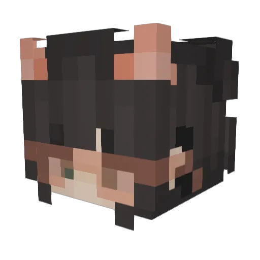 Sanien Minecraft avatar head, 3D render