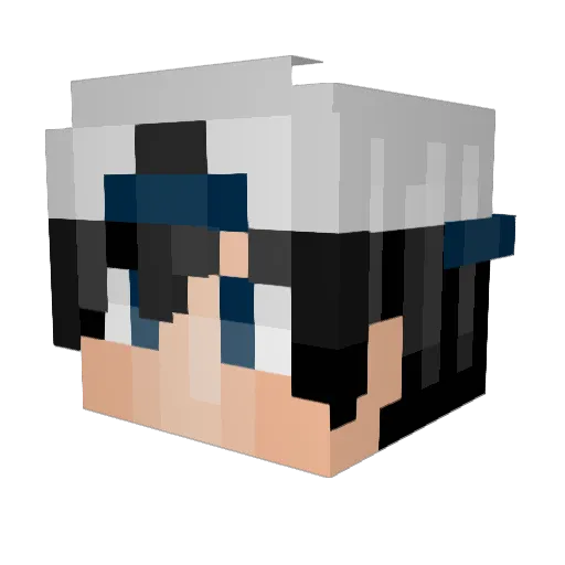 Saniford Minecraft avatar head, 3D render