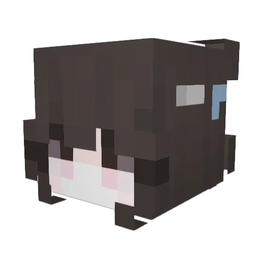Sanitea Minecraft avatar head, 3D render