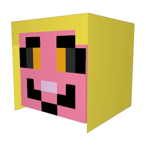 Sanix201 Minecraft avatar head, 3D render