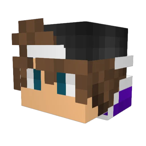 Sanjaa76 Minecraft avatar head, 3D render