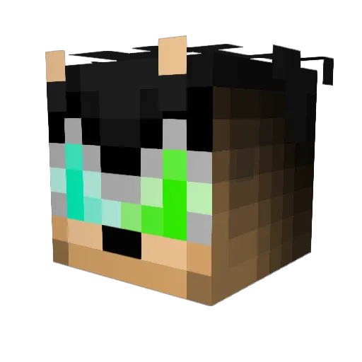 Sanjaiy Minecraft avatar head, 3D render