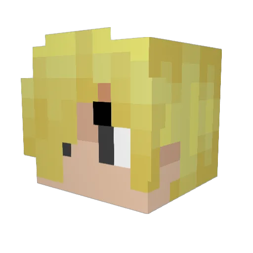Sanji1998 Minecraft avatar head, 3D render