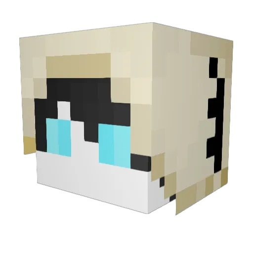 SankaCoffee Minecraft avatar head, 3D render