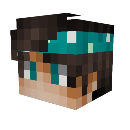 SankeFS Minecraft avatar head, 3D render