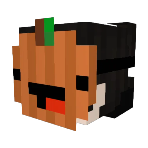 Sankreck Minecraft avatar head, 3D render