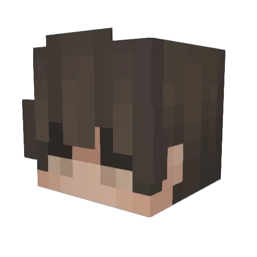 Sankt_Sebastian Minecraft avatar head, 3D render