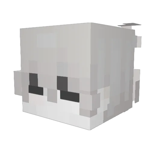 SanktuZwinger Minecraft avatar head, 3D render