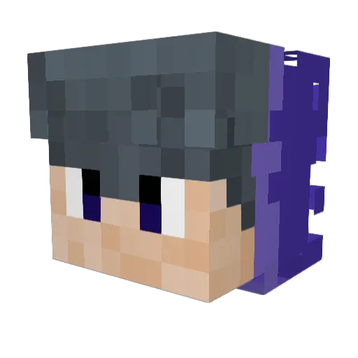 Sanl0negg Minecraft avatar head, 3D render