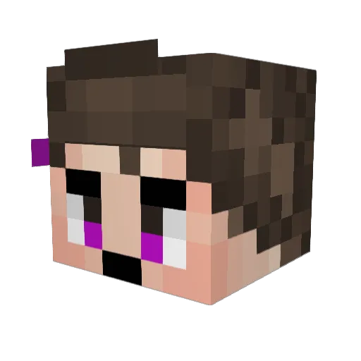SanndyJackson Minecraft avatar head, 3D render