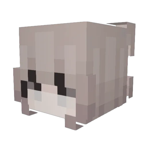 Sanne_ Minecraft avatar head, 3D render