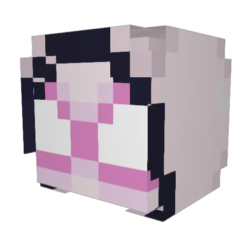 Sannebb Minecraft avatar head, 3D render