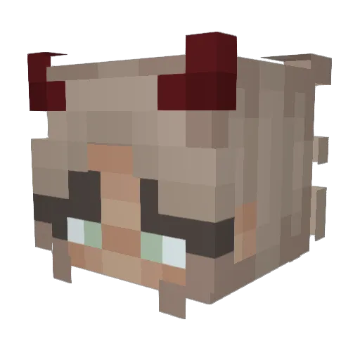 Sannemans Minecraft avatar head, 3D render