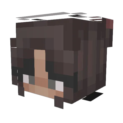 Sanneth Minecraft avatar head, 3D render