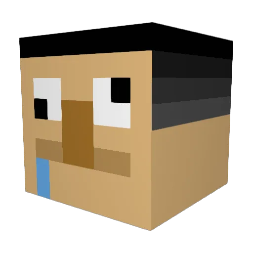 Sannizzz Minecraft avatar head, 3D render