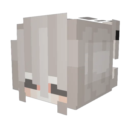 Sanno0b Minecraft avatar head, 3D render