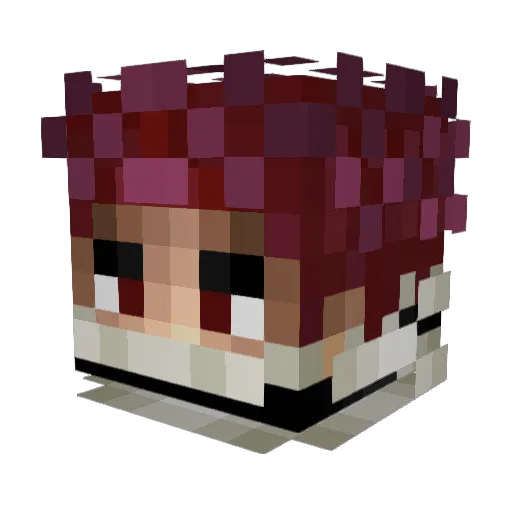 Sannshore Minecraft avatar head, 3D render