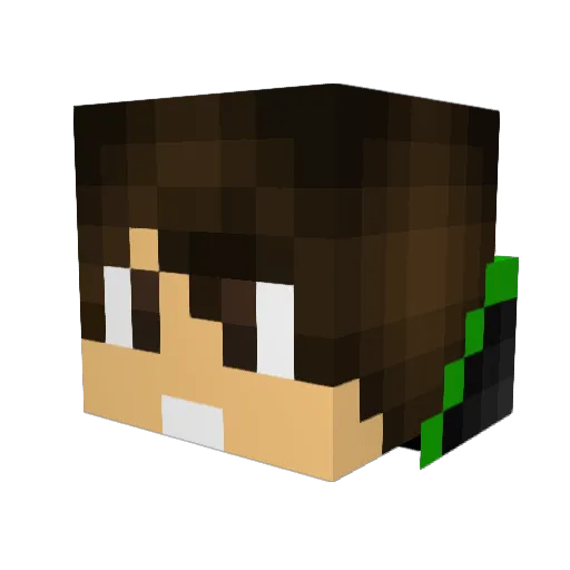 Sanoj123 Minecraft avatar head, 3D render
