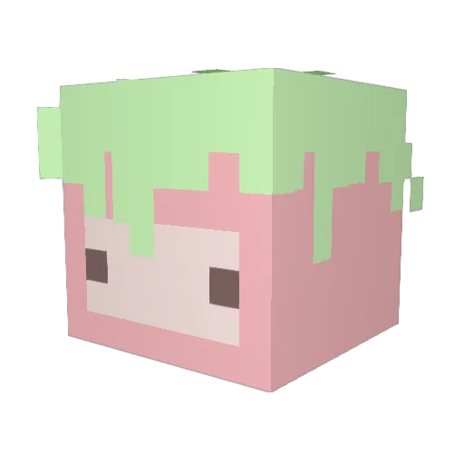 Sanols Minecraft avatar head, 3D render
