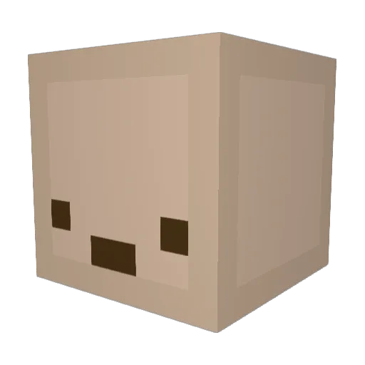 Sanou Minecraft avatar head, 3D render