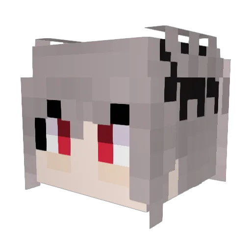 Sanrui Minecraft avatar head, 3D render