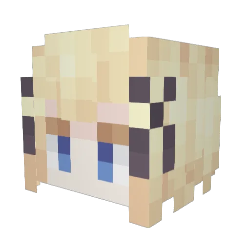 Sans1525 Minecraft avatar head, 3D render