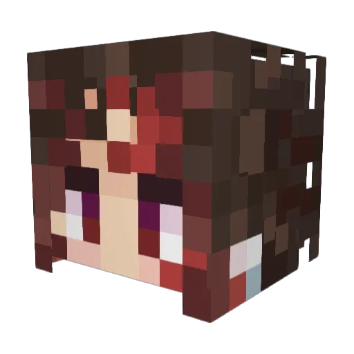 Sans161251 Minecraft avatar head, 3D render