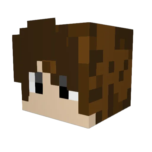 Sans733 Minecraft avatar head, 3D render