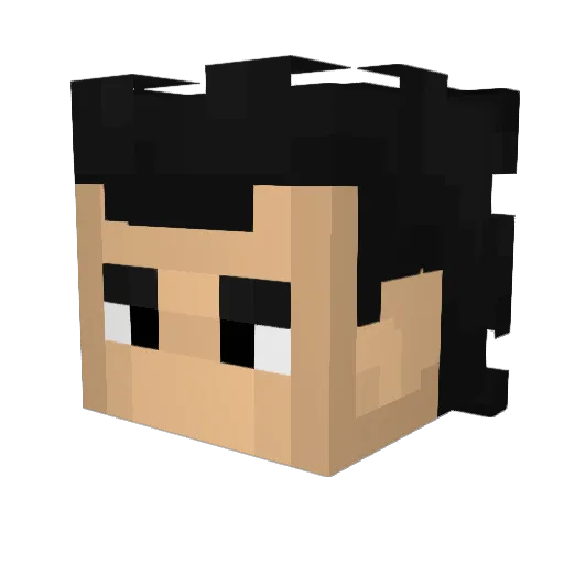SansNom08 Minecraft avatar head, 3D render
