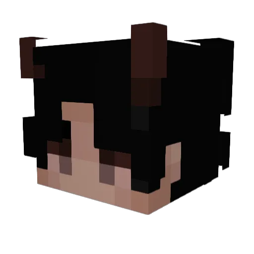 SansanZinho Minecraft avatar head, 3D render