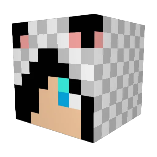 Sansansan Minecraft avatar head, 3D render