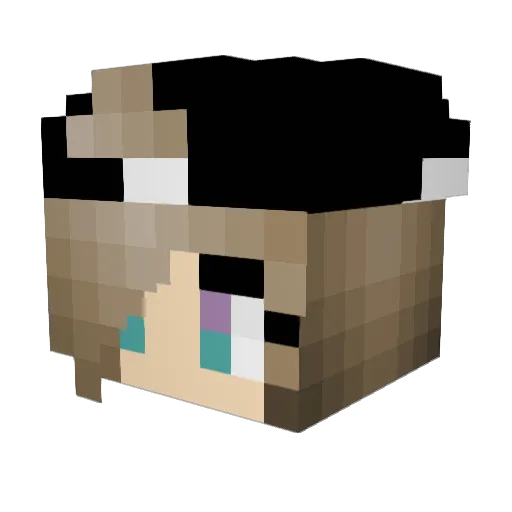 Sansnali Minecraft avatar head, 3D render