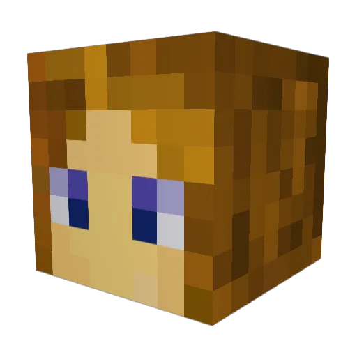 Sanssi21 Minecraft avatar head, 3D render