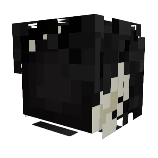 Sansthecool Minecraft avatar head, 3D render