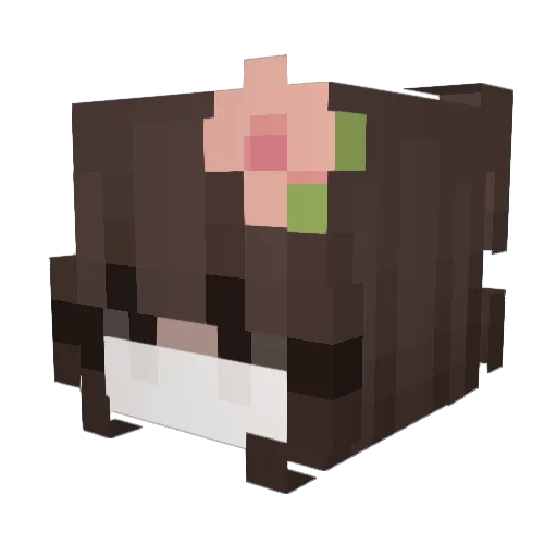 Sansworld Minecraft avatar head, 3D render