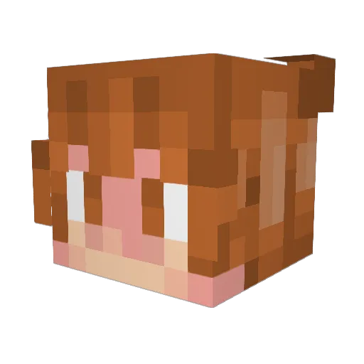 Sansysans Minecraft avatar head, 3D render